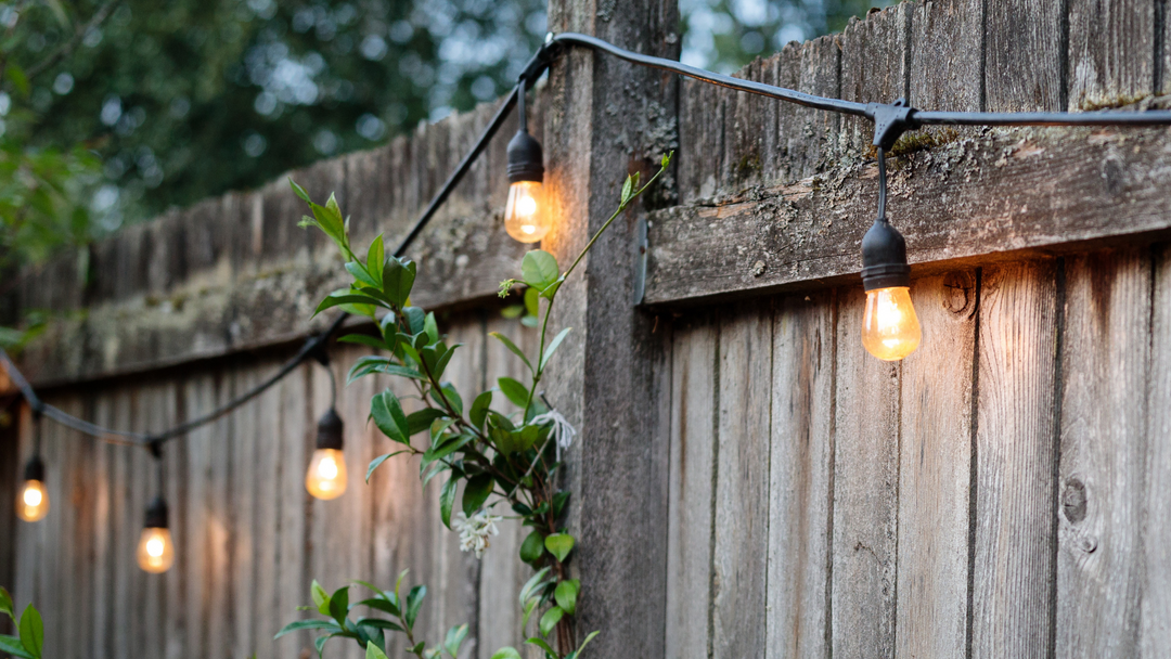 Incredible Backyard Fence Trends to Look for in 2022