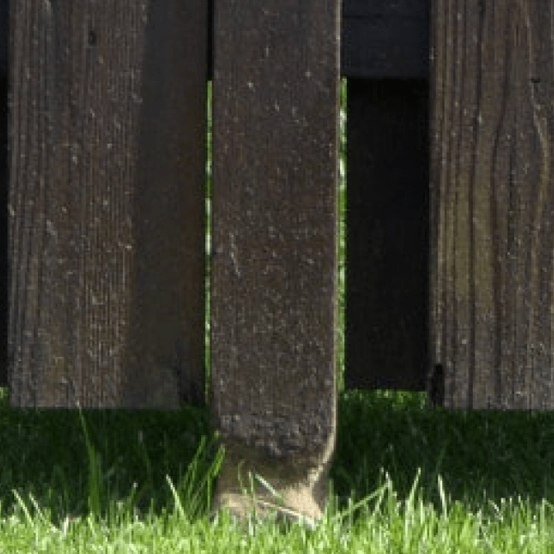 Damaged posts