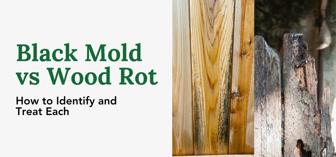 Side-by-side image comparison of wood destroyed by black mold and wood rotting.