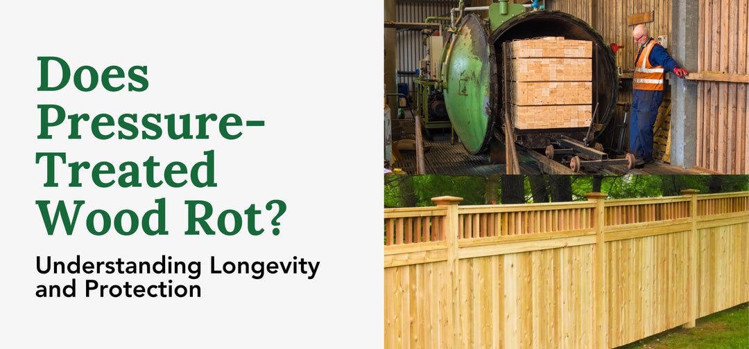 Does Pressure-Treated Wood Rot? Understanding Longevity and Protection
