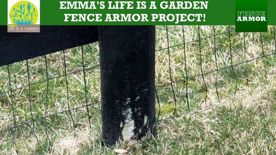 Emma's Life is a Garden Fence Armor Project | Fence Armor