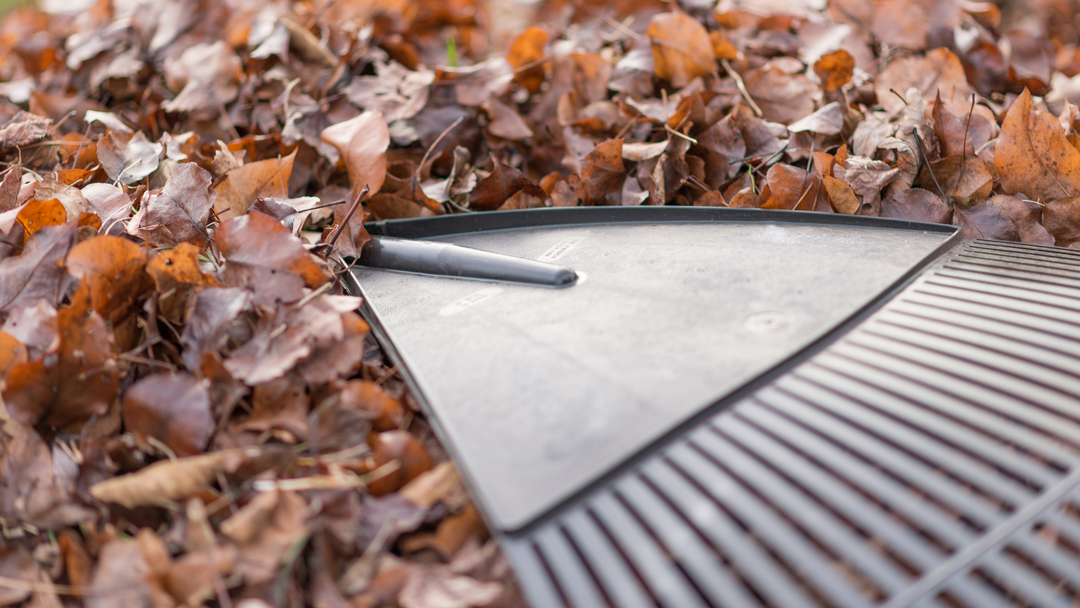 Fall Landscaping & Yard Maintenance Trends You Should Know