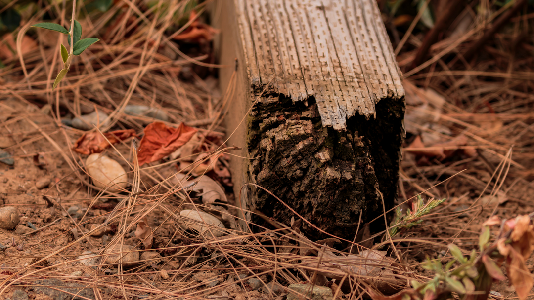 Top reasons why fence posts rot?