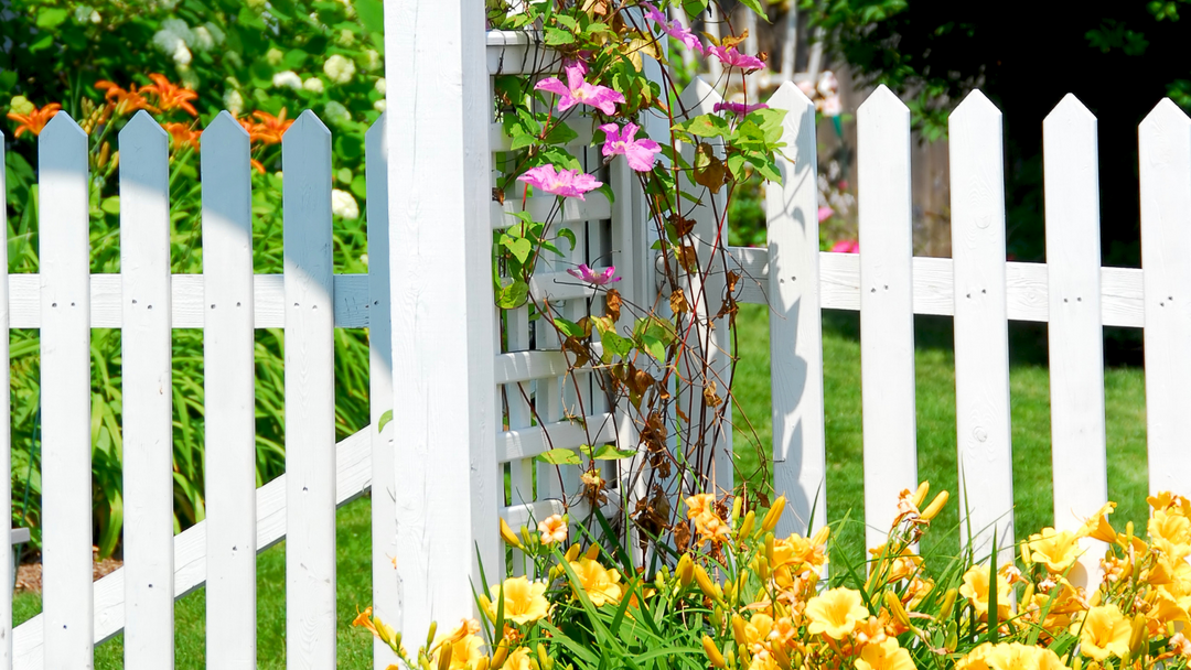 Five Inspiring Garden Fence Ideas