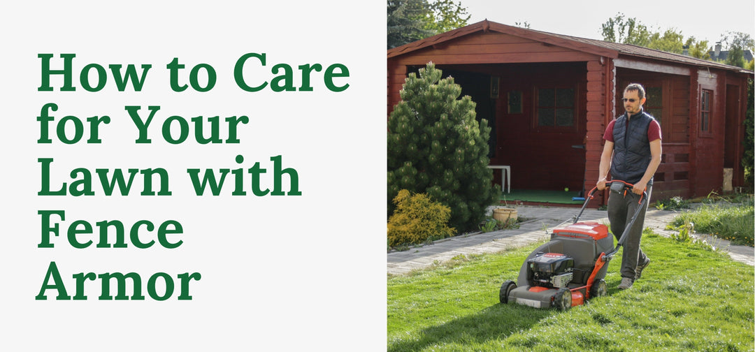 How to Care for Your Lawn with Fence Armor