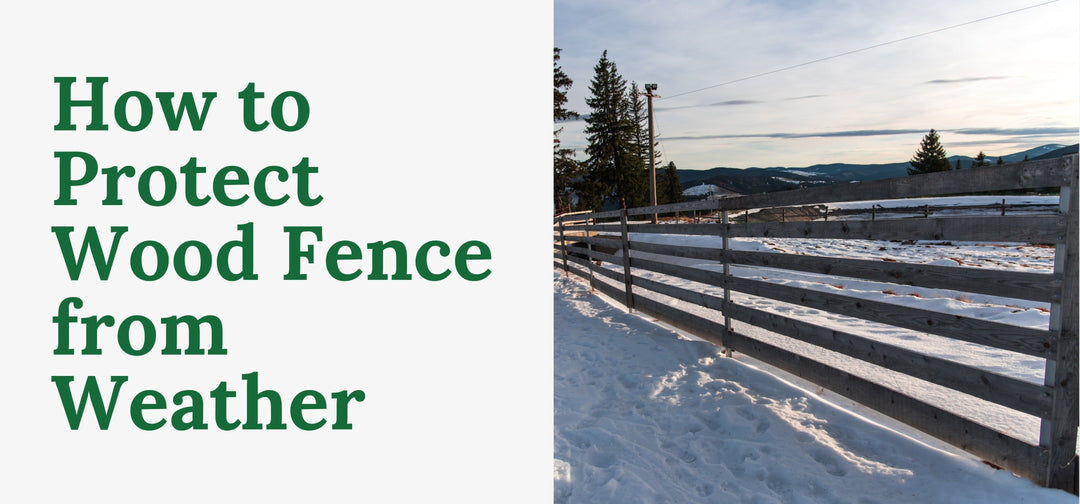 How to Protect a Wood Fence From the Weather: A Guide