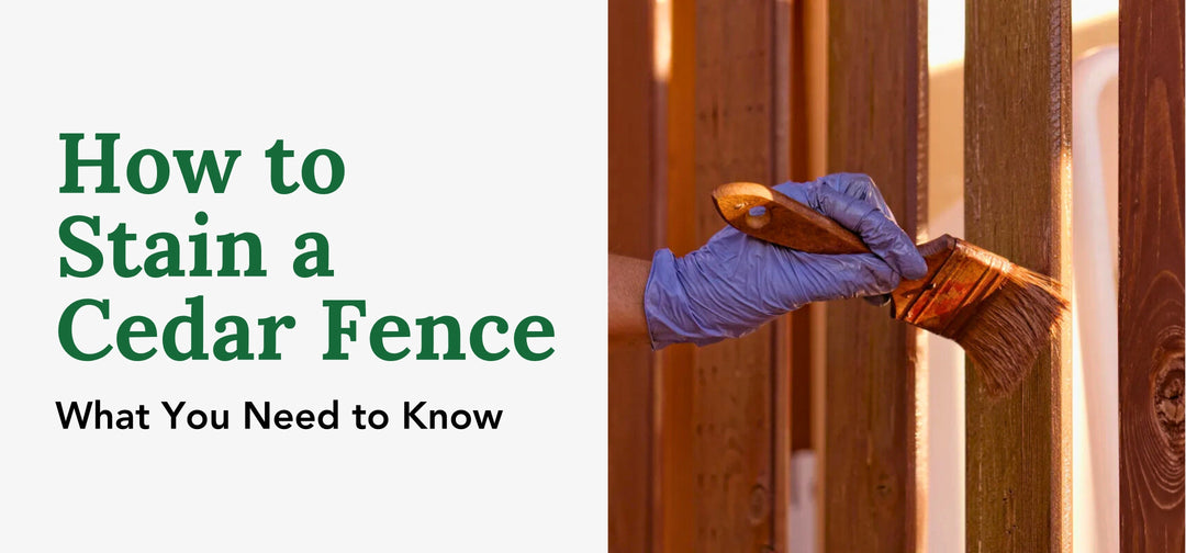 How to Stain a Cedar Fence: What You Need to Know