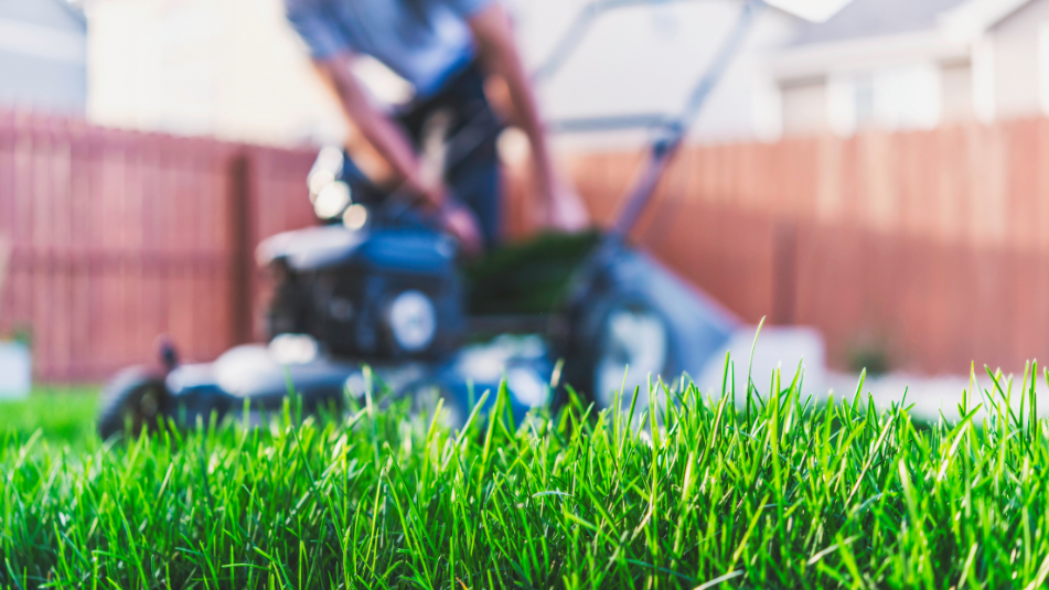Landscaping Tips for Mowing Around Fences