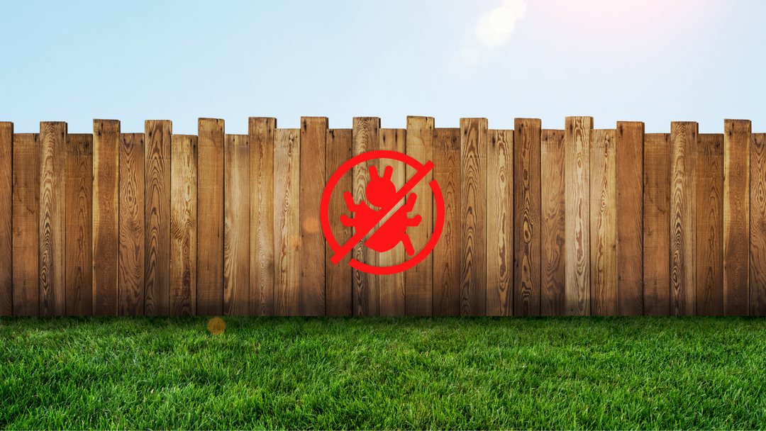 Woodpeckers, Squirrels & Pets, Oh My! Tips to Protect Your Fence from Critters This Year