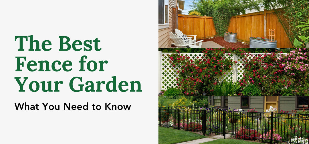 The Best Fence for Your Garden: What You Need to Know