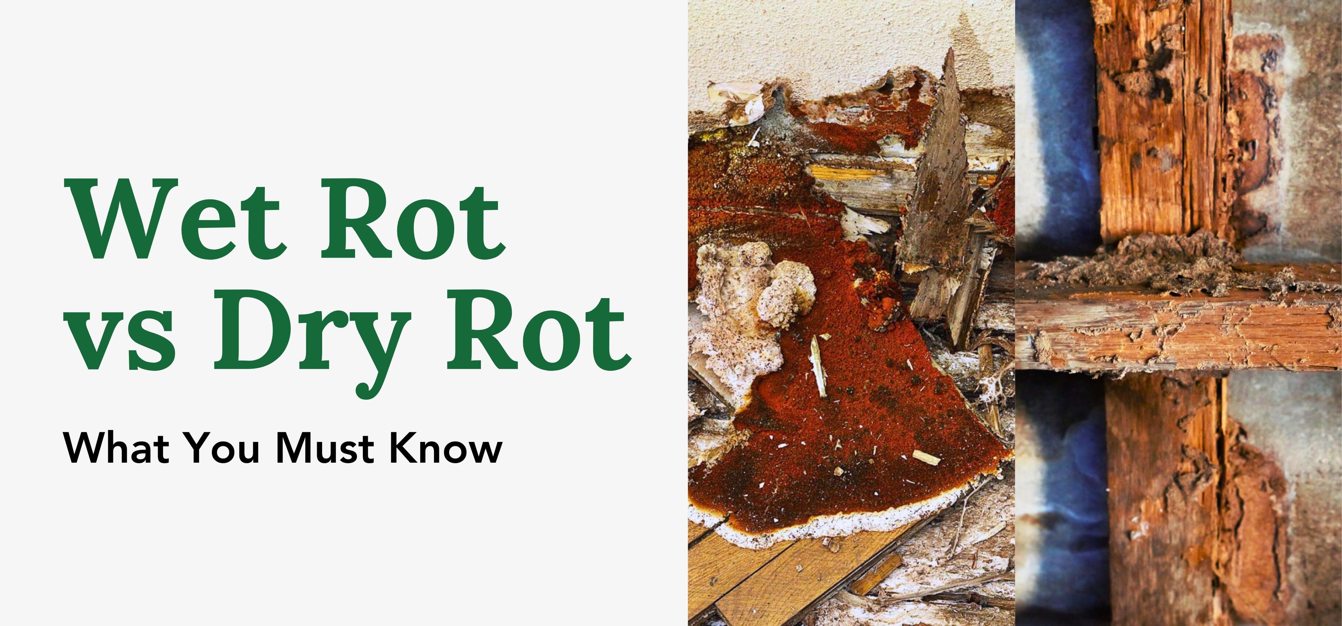 Wet Rot vs Dry Rot: What You Must Know – Fence Armor