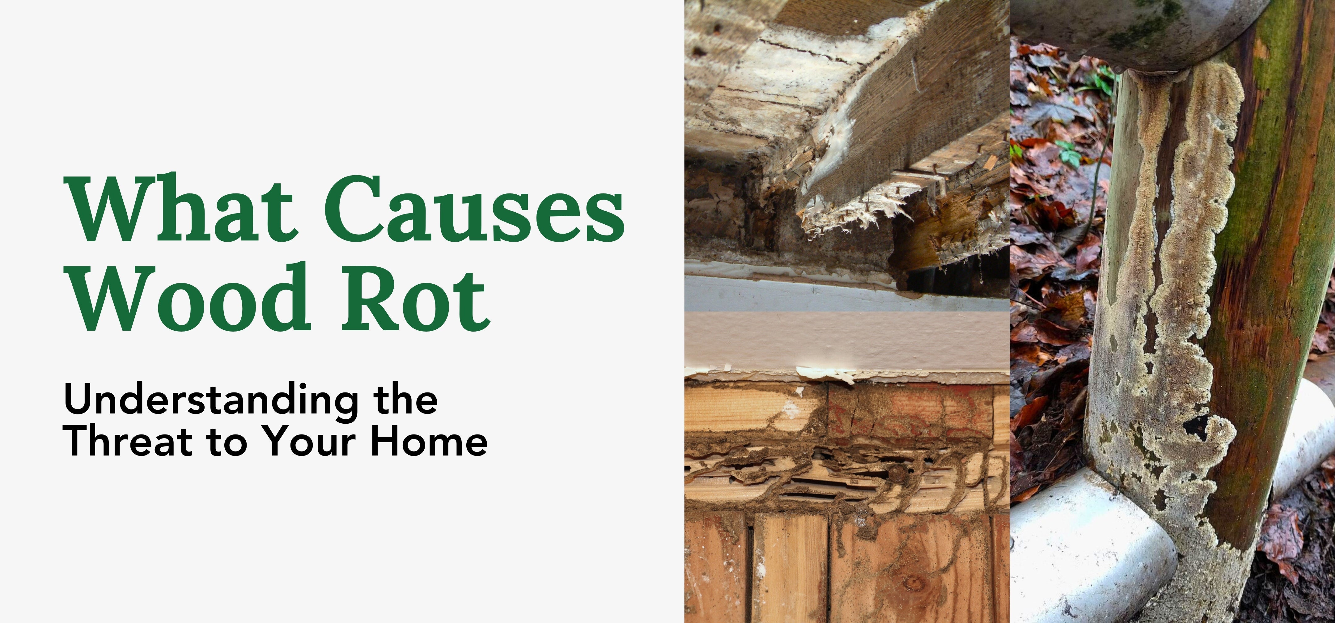 What Causes Wood Rot: Understanding the Threat to Your Home – Fence Armor