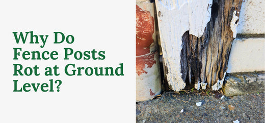 Why Do Fence Posts Rot at Ground Level?