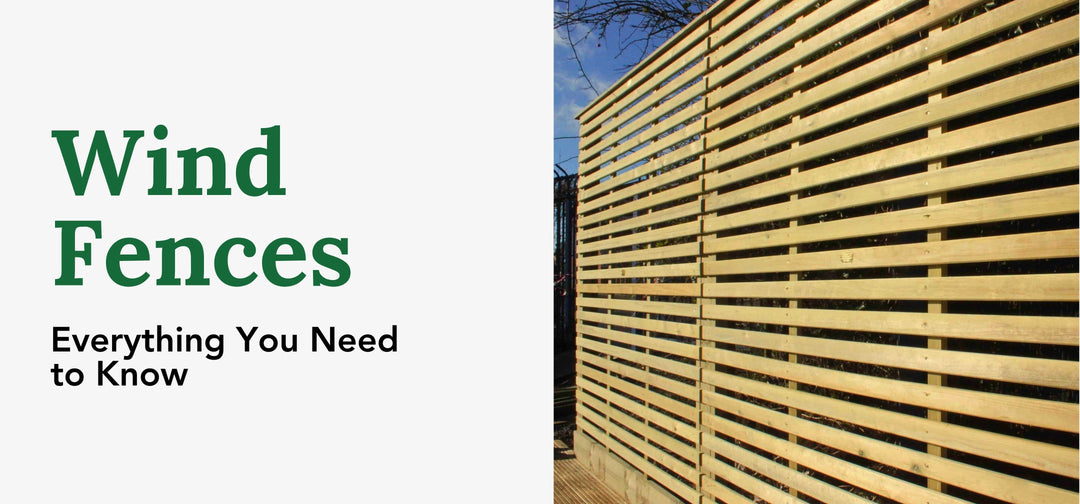 Wind Fences: Everything You Need to Know
