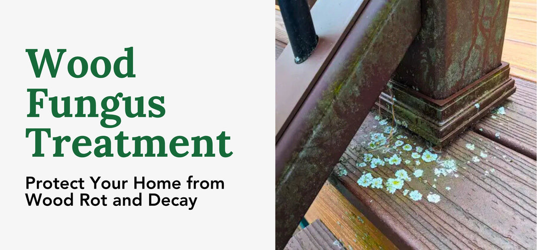 Image illustrating wood fungus growing at the base of wooden stair rails. Text on the side shows the title of the page and what readers can expect regarding Wood Fungus Treatment.