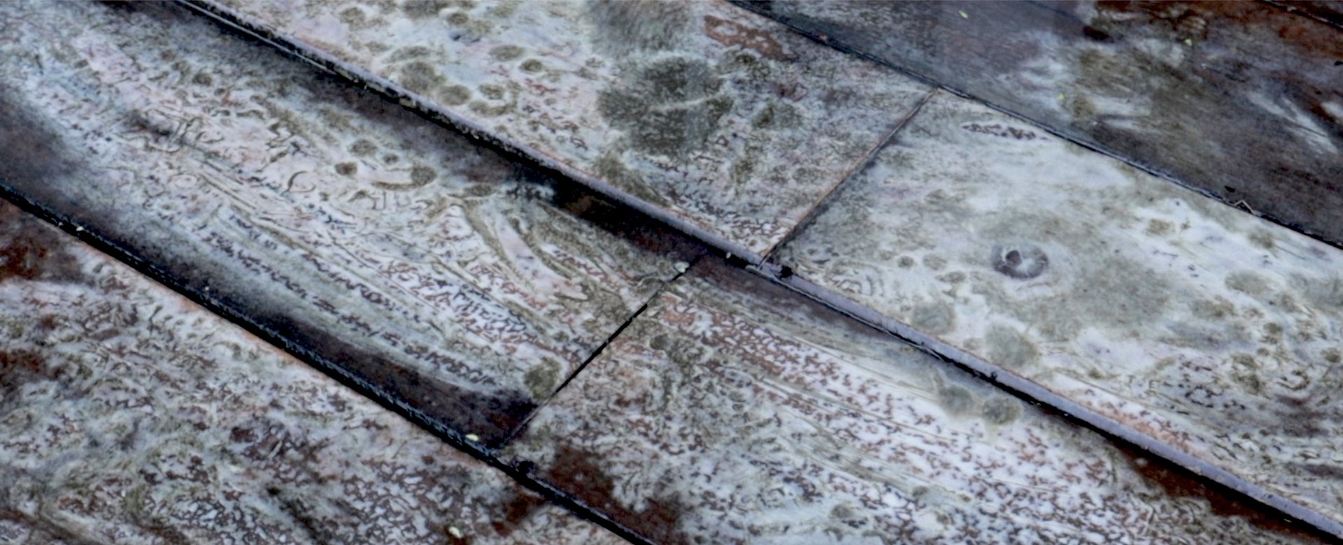 Professional Wood & Surface Cleaning Products