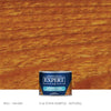 Transparent Oil Stain for Cedar & Pressure-Treated Fences & Decks | EXPERT Transparent Oil Stain for Cedar Decks & Fences | EXPERT 4oz Sample Can / Natural EXPERT - Stain Stain & Seal Experts Store